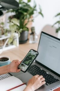 Pinterest & Instagram inzetten voor kerstverkoop (handleiding)
