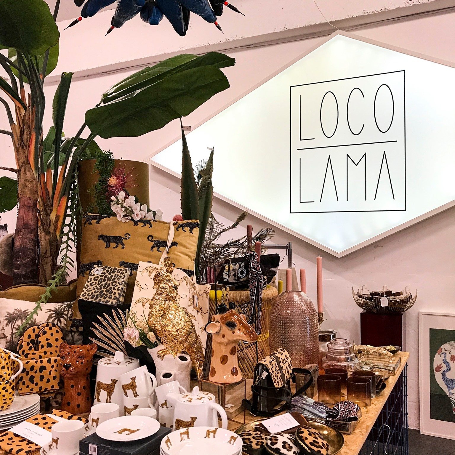 loco lama delft